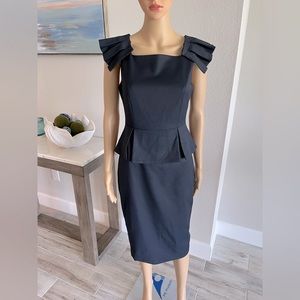 •Ted Baker• Navy Blue Dress Rose Gold Zipper